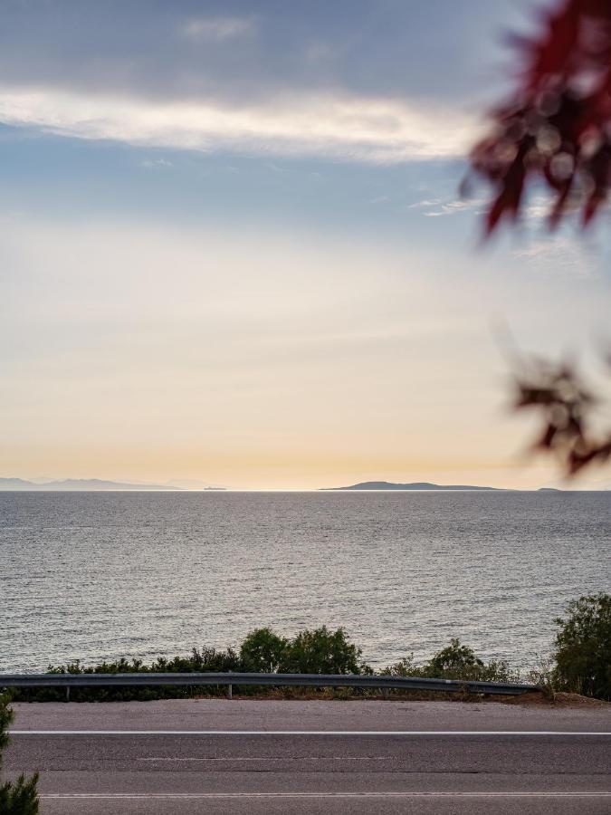 3 Olive Trees Aparthotel Anavyssos Exterior photo